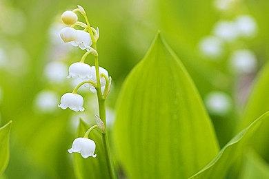 PS Plus三档会员新增四款试玩游戏：《原始袭变》等